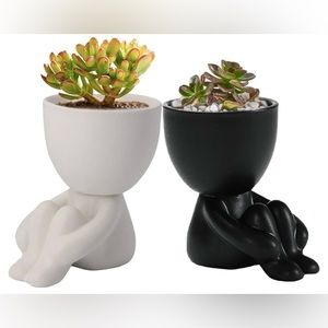 Succulents planters